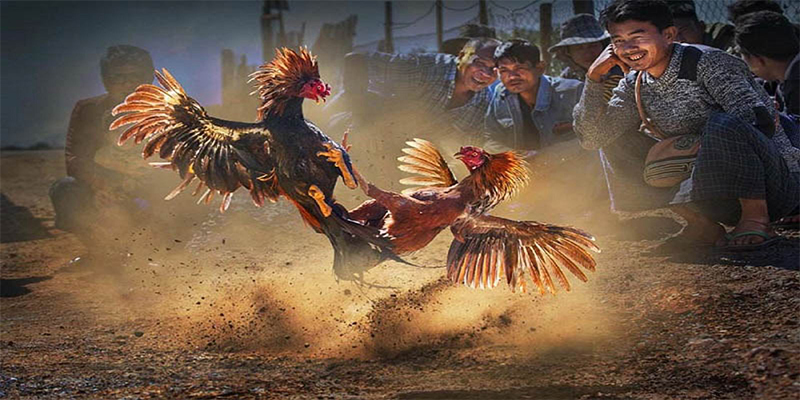 dongtamlongan sòng bạc ĐĂNG NHẬP