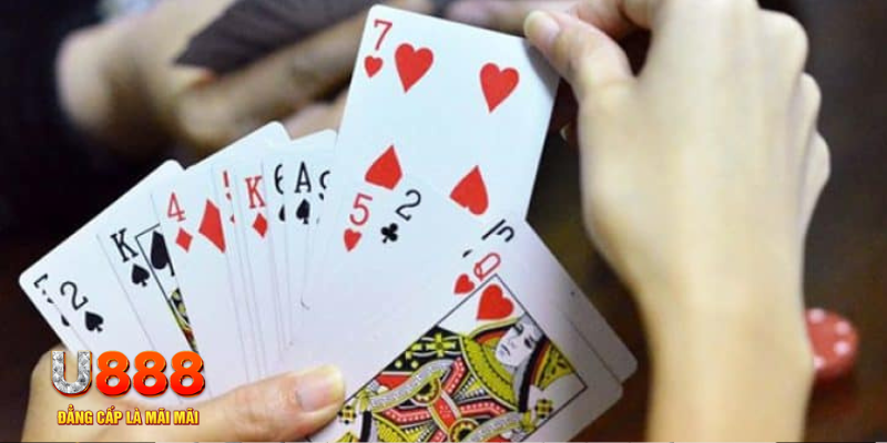 vin777 vin casino KÈO NHÀ CÁI