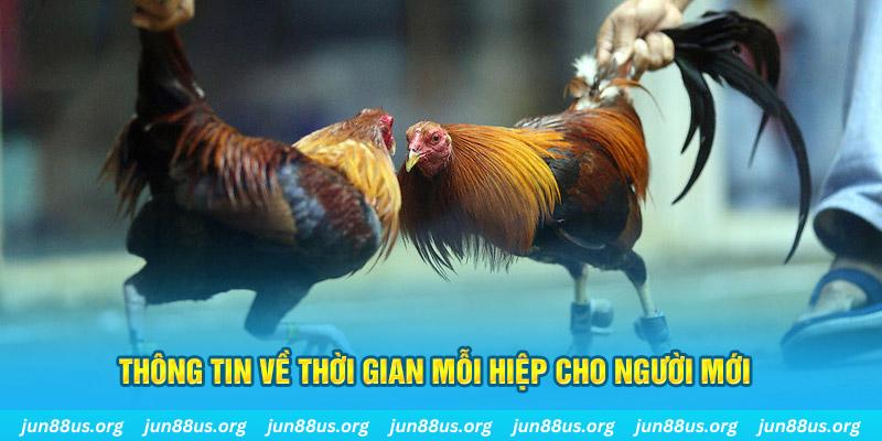 w88 club casino Trực tuyến
