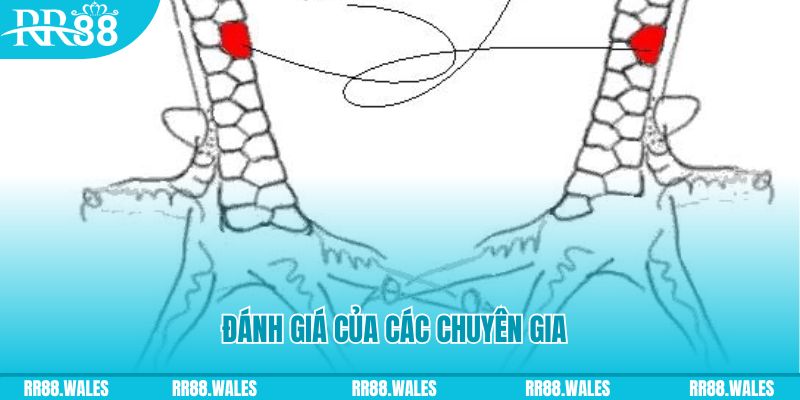 888b casino là gì