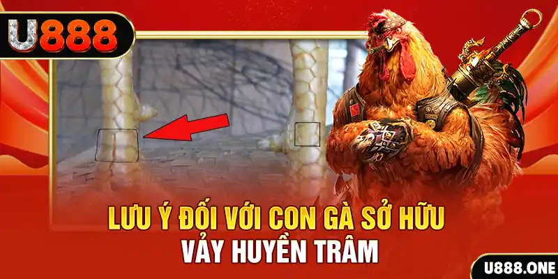 sunwin20 sòng bạc Đăng ký